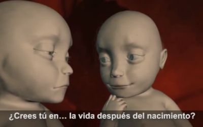 Is There Life After Birth? An Interesting Dialogue Between 1 Unborn Babies