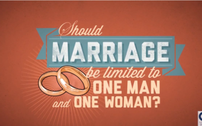 How does homosexual marriage benefit a society?
