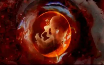 The Miracle of Life: Answering One Question With Two Others