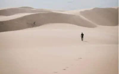 The Desert Experience: 40 Days To Return To What Is Essential