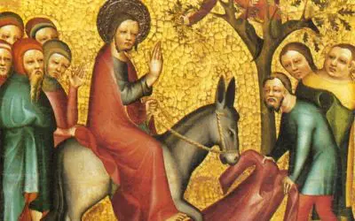 Entering Into The Mystery Of Palm Sunday