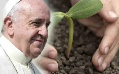 20 “Laudato Si” Quotes That You Can’t Miss!