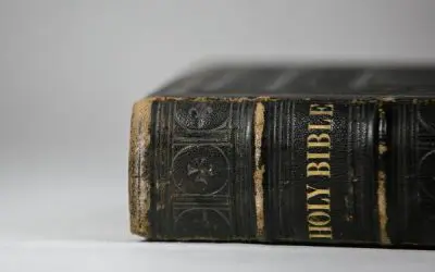 Quiz: Can You Answer 11 Questions On Bible Basics?