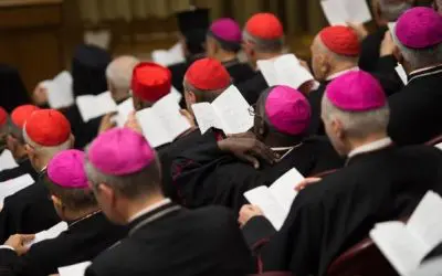 What is Really Happening at The Synod (Explained in Under 2 Minutes)