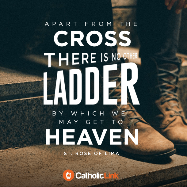 Apart From The Cross There Is No Other Ladder | St. Rose of Lima Quote