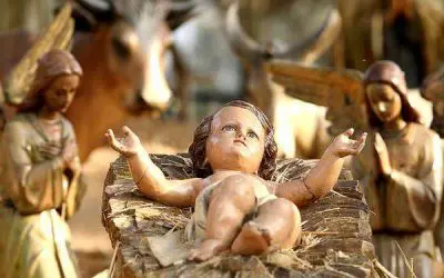 Congratulations & Merry Christmas! Your Lord And Savior Has Been Born!