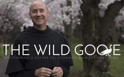 “The Wild Goose” Is A Must Watch For Catholics Who Want To Grow In The Holy Spirit