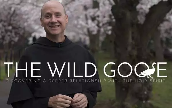 catholic holy spirit wild goose series