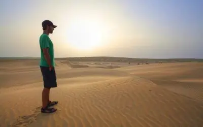 What Temptations Can Tell Us About Ourselves