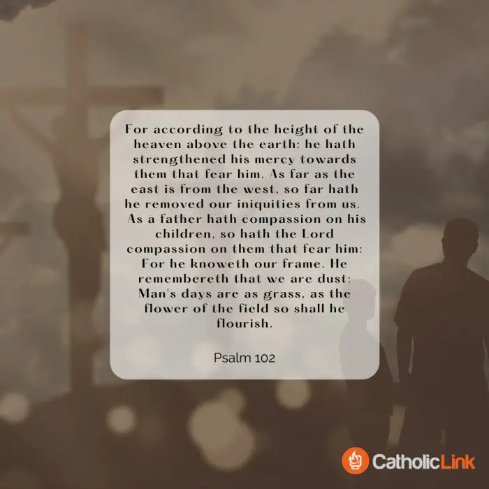 Psalm 51 Seven Penitential Psalms