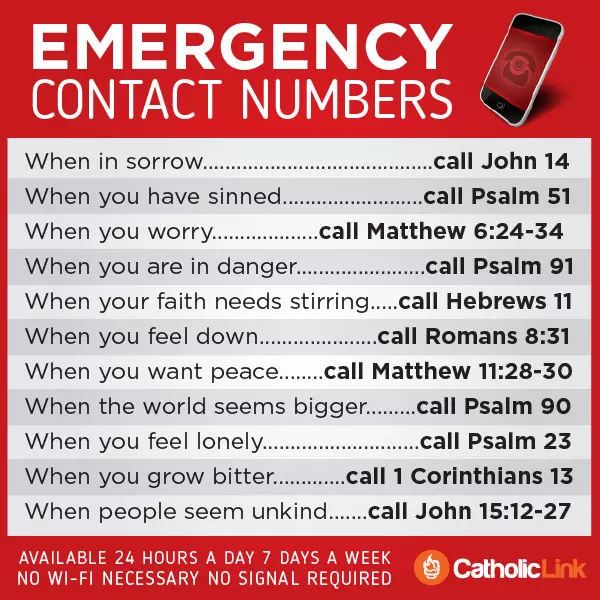 Emergency Contact Numbers In The Bible Infographic
