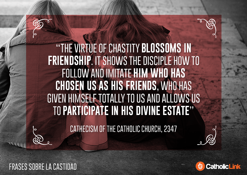 10 Catholic Quotes On Chastity Catechism of the Catholic Church