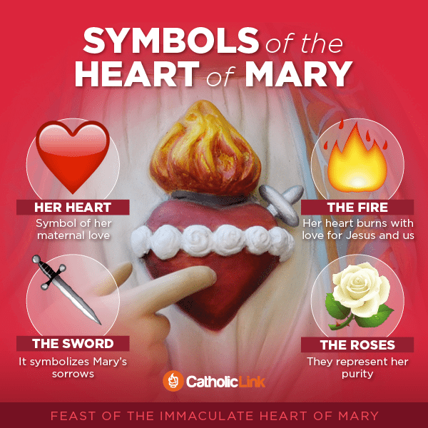 Catholic Infographic: Symbols of the Immaculate Heart of Mary | Catholic-Link.org