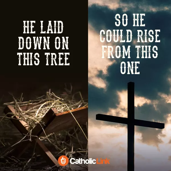 He Laid Down On This Tree, So He Could Rise From This One Catholic Quote