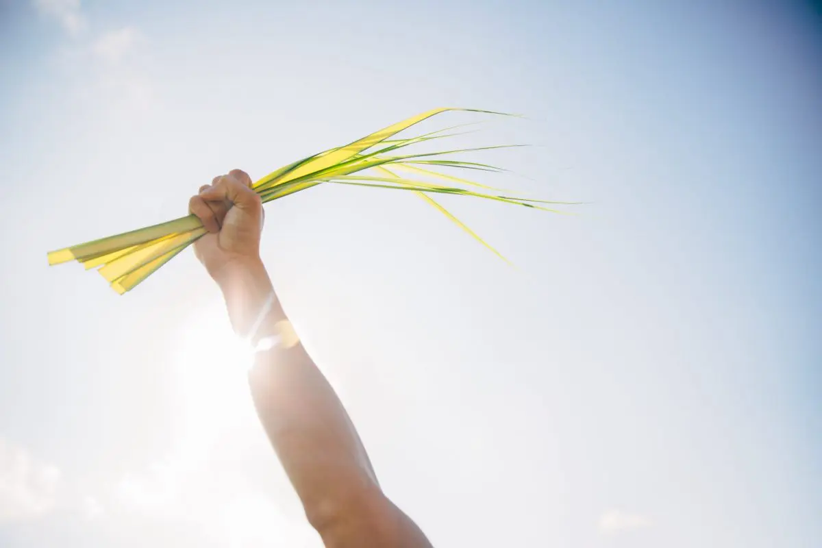 Stretched For The Sake Of Love | Palm Sunday Spiritual Exercises