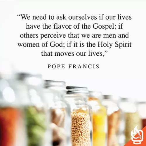 blessed salt flavor Pope Francis