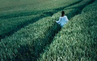 Creating Circumstances to Flourish: How to Cultivate Good Soil in Your Life I Catholic Bible Study