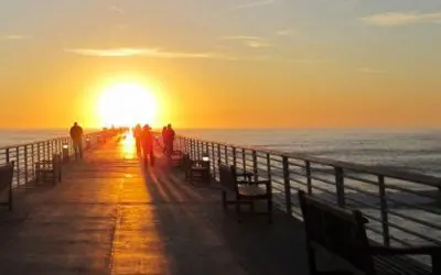 Are You Overdoing It? Does That Work? ~ How to Find the Sweet Spot of Gentle Strength (Gospel Reflection)