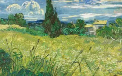 How To Resist Rushing: What The Parable Of The Wheat And Weeds Can Teach About Patience (Gospel Reflection)