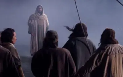 How to Trust When You Feel Abandoned | Catholic Bible Study