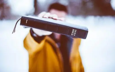15 Bible Verses Catholics Can Memorize