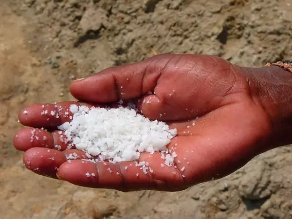 Holiness Is Like Salt | Bishop Fulton Sheen