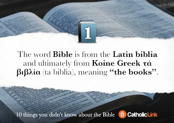 10 Things You Didn't Know About The Bible
