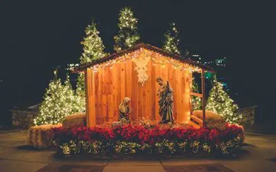 Live All That The Nativity Represents In Your Daily Life | Pope Benedict XVI Quote