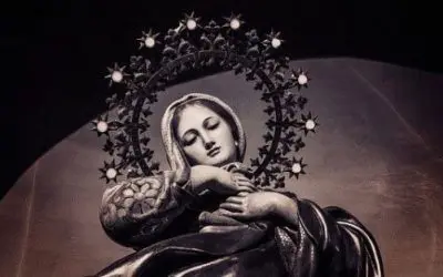 Are You Willing To Be Wounded? The Paradox Of Mary’s Immaculate Love