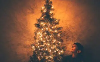 12 Ideas To Celebrate All 12 Days Of Christmas!