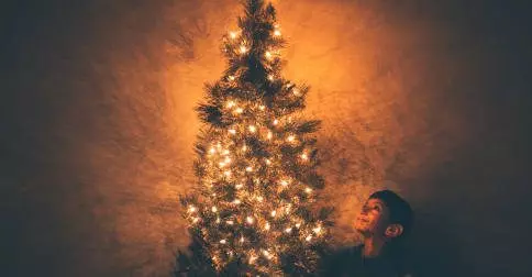 Twelve days Christmas tree child