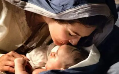 3 Things Mary Teaches Us About How to Follow Her Son | Catholic Bible Study
