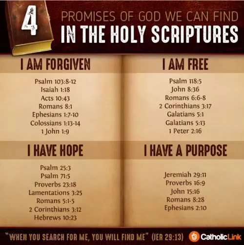 gospel reflection promise