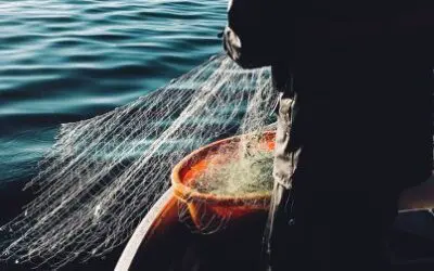 The Symbolic Meaning Of The Apostles’ Fishing Nets| Catholic Bible Study
