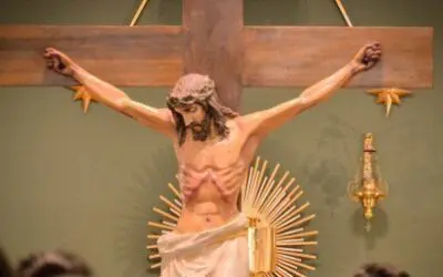 What A Buried Seed Teaches About True Love | Catholic Bible Study
