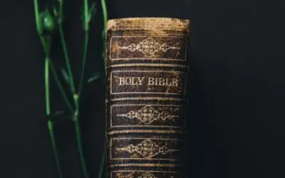 Why Do Catholics Have More Books Of The Bible?