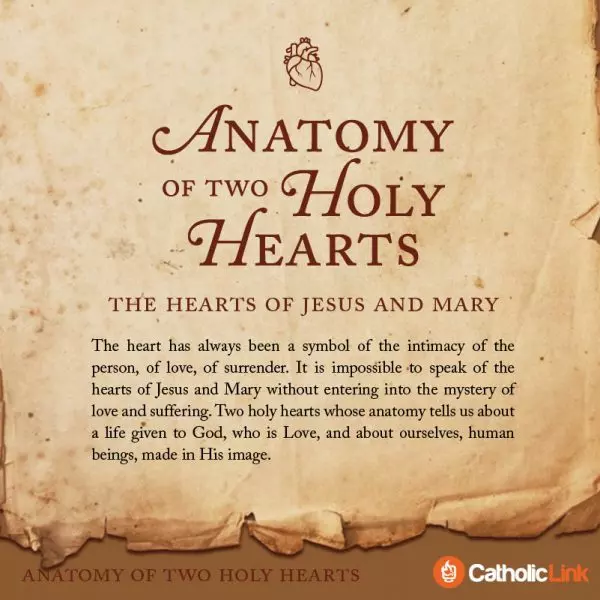 Anatomy Of Two Holy Hearts | The Hearts Of Jesus And Mary