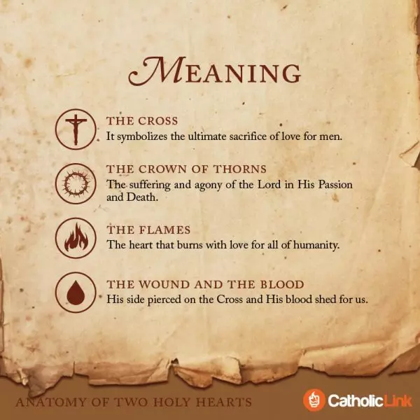 Anatomy Of Two Holy Hearts | The Hearts Of Jesus And Mary