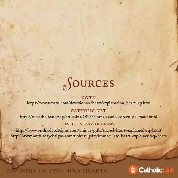 Anatomy Of Two Holy Hearts | The Hearts Of Jesus And Mary