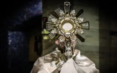 Over The Next 95 Days EVERY Diocese In The United States Will Receive This Gift