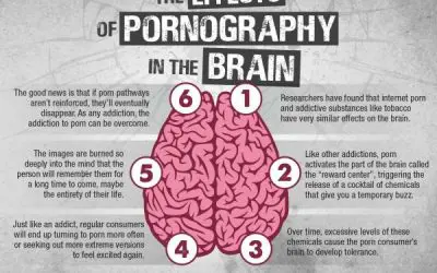 Infographic: The Effects Of Pornograhy In The Brain