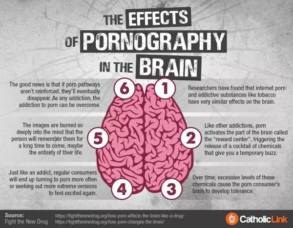 Catholic quotes, infographics, memes and more resources for the New Evangelization. Infographic: The Effects Of Pornography On The Brain.