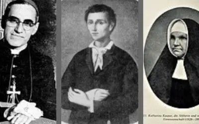 A Closer Look At Of Our 7 Newer Saints