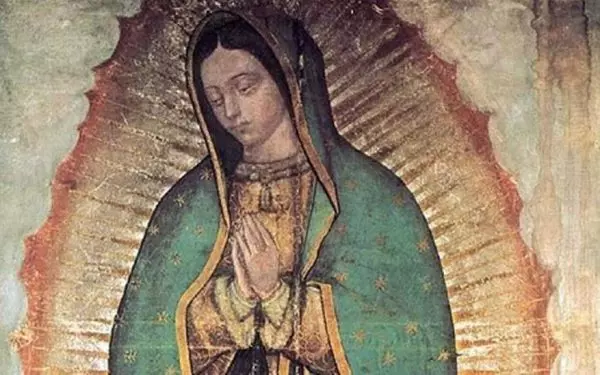 our lady of guadalupe tilma