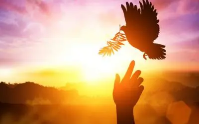 Pray  The “Veni, Creator Spiritus” On January 1 (New Year’s Day) For A Plenary Indulgence