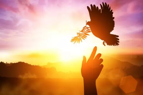 holy spirit prayer january 1st New Year's indulgence venti spiritus