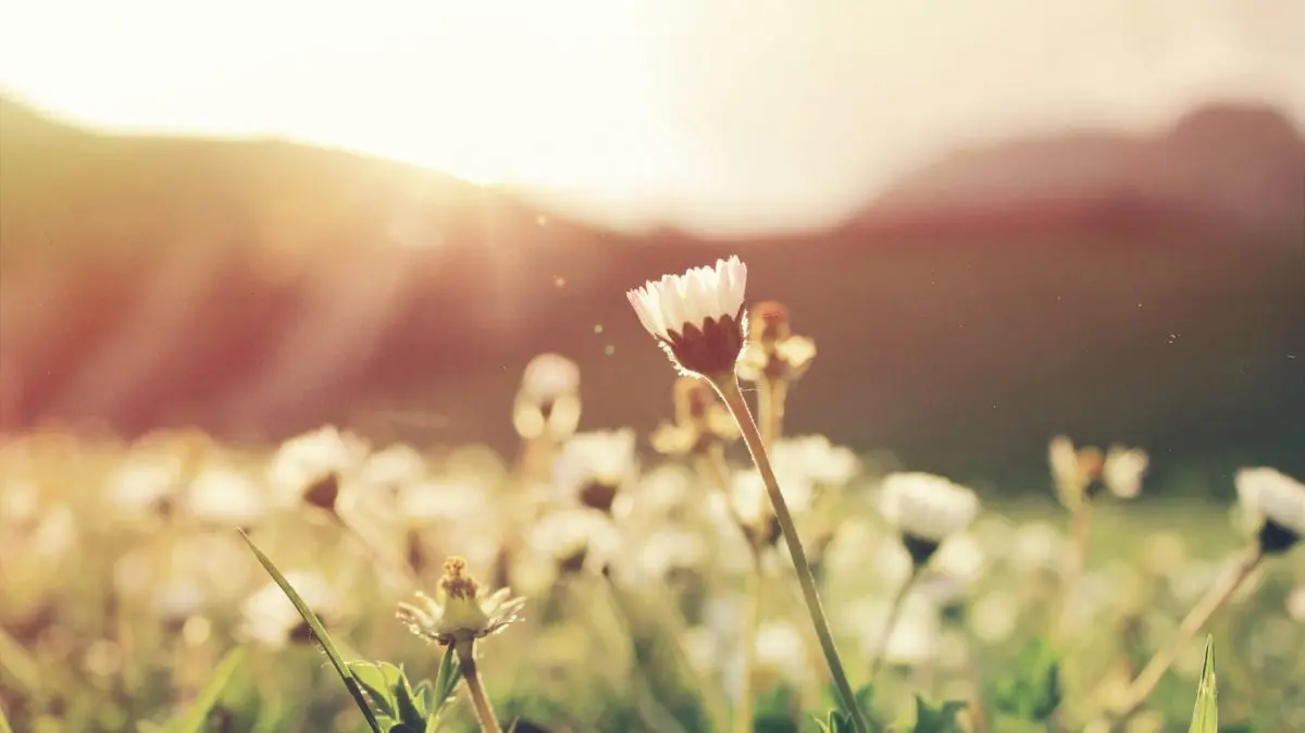 Mary prayer springtime May