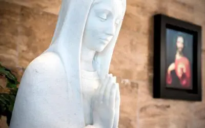 Should A 5th Marian Dogma Be Added?