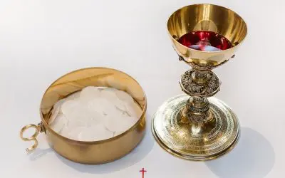 July Is Devoted To The Precious Blood Of Jesus |  Mark Your Calendar!