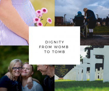 From Womb To Tomb Prolife Image